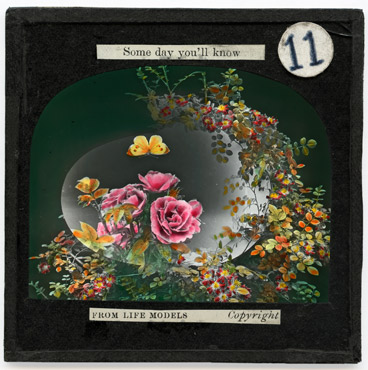 [11.]  A butterfly, from rose to rose, flits idly in the sun