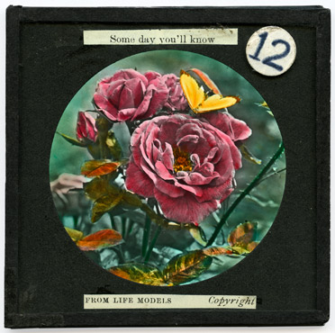 [12 . To find at last the flower it chose]