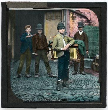 [8.] Christie's First out