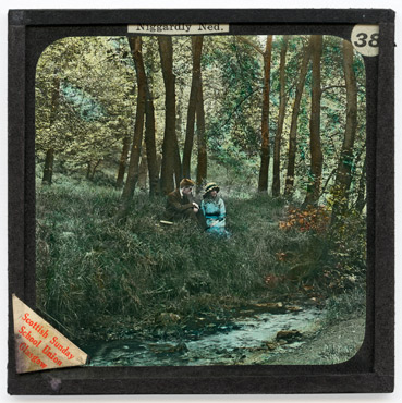 38. In the woods
