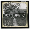 22. The pretty ivy-covered cottage