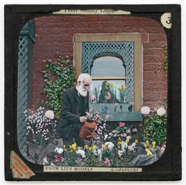 3. Lee set about watering his flowers