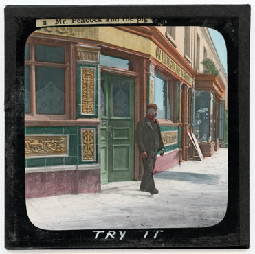 2. Mr Peacock and the pig